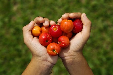 Cerrado: brincar na natureza traz benefícios para a saúde das crianças, interagir com a natureza diariamente promove saúde física e mental
