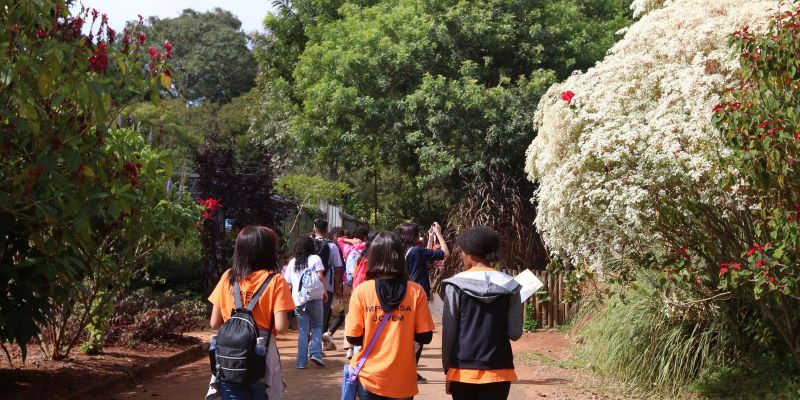 Semana do Brincar promove atividades gratuitas na capital paulista
