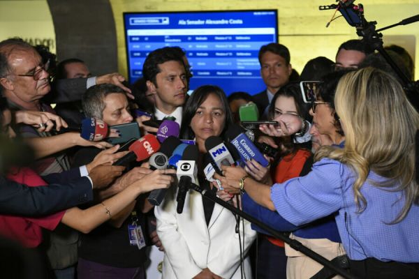 Relatora quer Anderson Torres e Ricardo Capelli nos primeiros depoimentos da CPMI