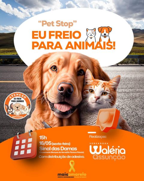 Waléria Assunção promove “Pet Stop – Eu Freio para Animais!” no Maio Amarelo nesta sexta-feira (16) Waléria Assunção promove “Pet Stop – Eu Freio para Animais!” no Maio Amarelo nesta sexta-feira (16)